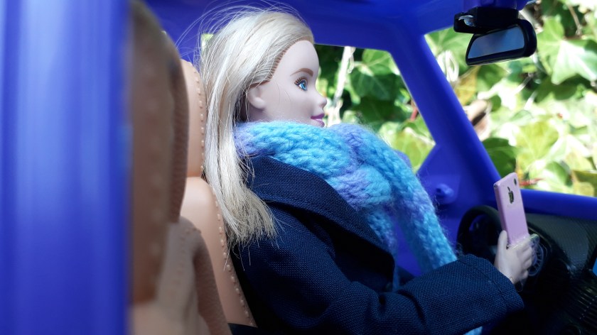 Lathyrus wacht in haar auto op de wegenwacht